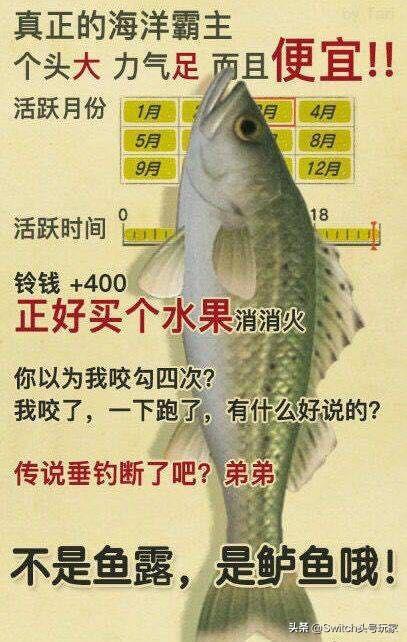 动森房贷，动森开岛第一天!教你如何快速还完第一个贷款  第7张