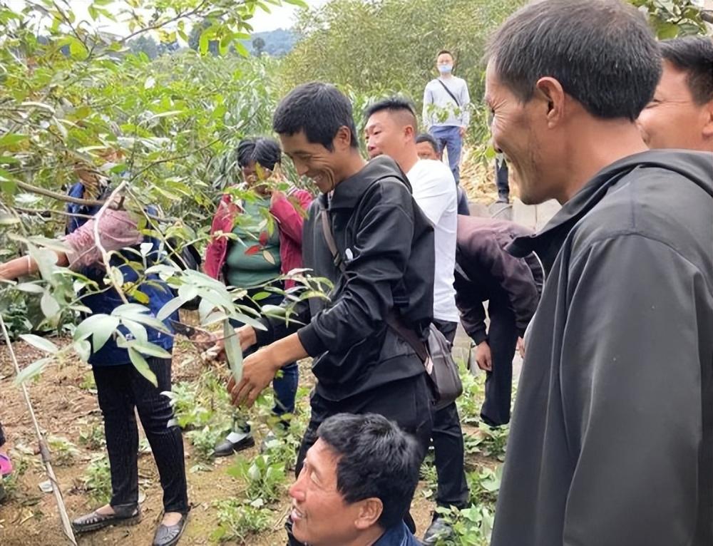 (农村创业)农村创业门槛不高的2个项目，关键是赚的还不少  第2张