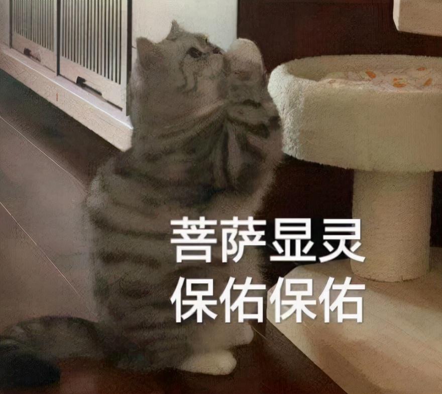(新债中签)新债中签全攻略，打不了新股，一年也能赚30%  第3张