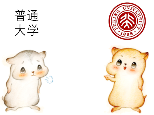 (什么是马太效应)什么是“马太效应”?  第2张