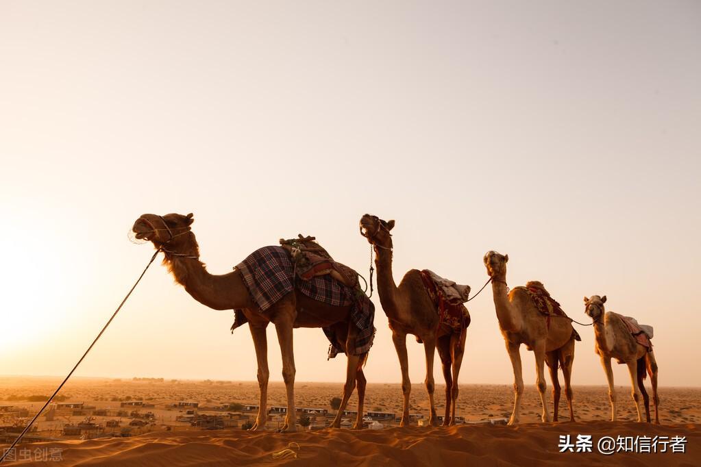 (网络赚钱)逆向思维:网络社会赚钱就是两句话，学会一句你就赚翻了  第1张