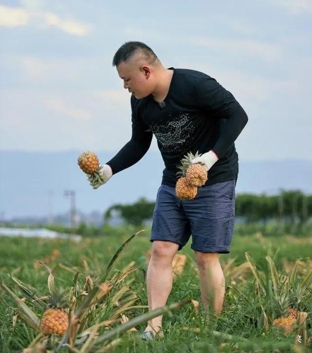 (岳云鹏身价)岳云鹏身价上亿，给5个姐姐买房买车，亲弟弟却在农村种地  第6张