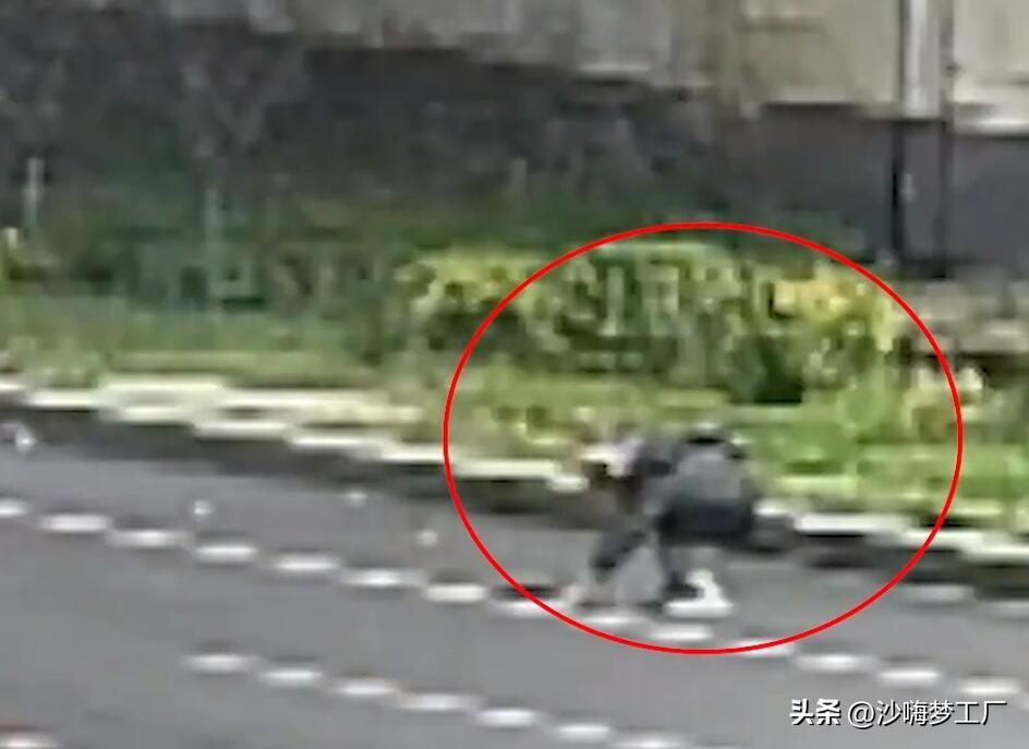 (济南弯腰捡石子女孩回应走红)济南弯腰捡石子女孩回应走红 火的是每个人心中的正能量 第1张 (济南弯腰捡石子女孩回应走红)济南弯腰捡石子女孩回应走红 火的是每个人心中的正能量 第1张