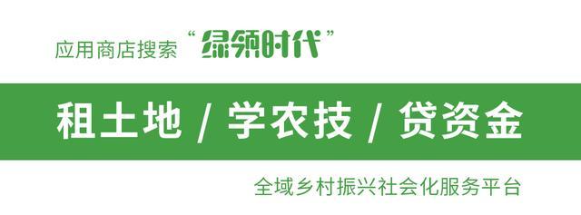 (贷款要户口本)农村户口怎么贷款?满足4个条件,3条途径可选 第1张 (贷款要户口本)农村户口怎么贷款?满足4个条件,3条途径可选 第1张