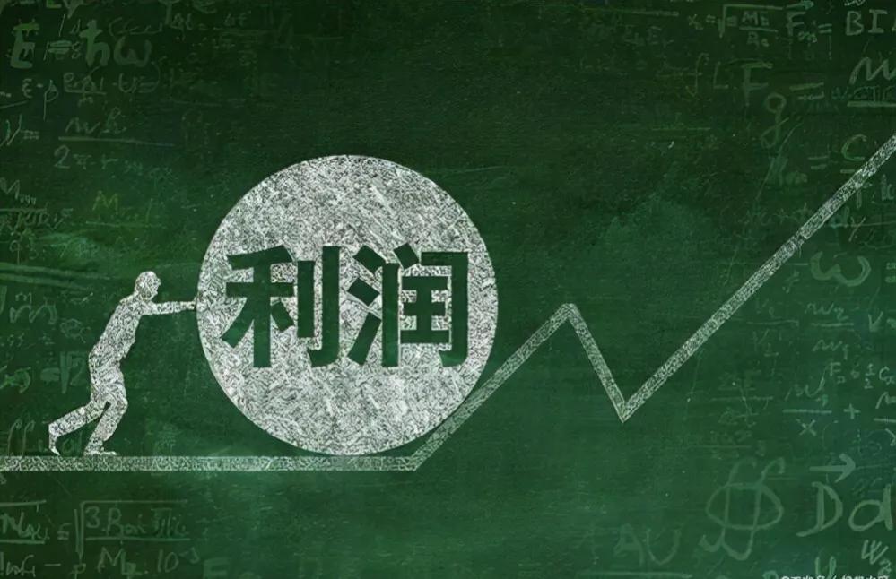 (毛利润和净利润)“净利润”和“毛利润”只有一字之差，他们是不是一个意思?  第1张