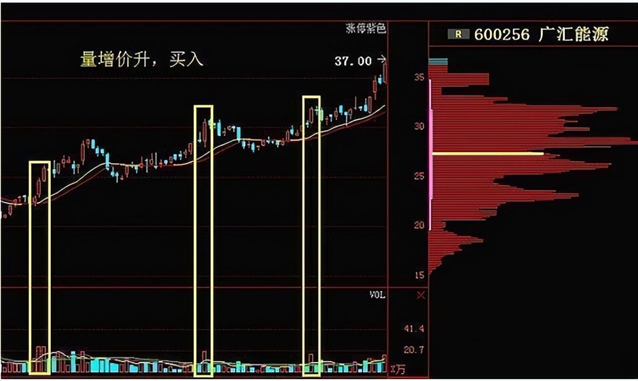 (炒股的方法)中国股市真正厉害的一种人:教你炒股正确的方法，越简单越赚钱  第6张