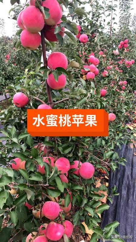 一开始就做大，不太现实!这5个生意，赚钱可能会容易点(现在做什么生意比较赚钱)  第4张