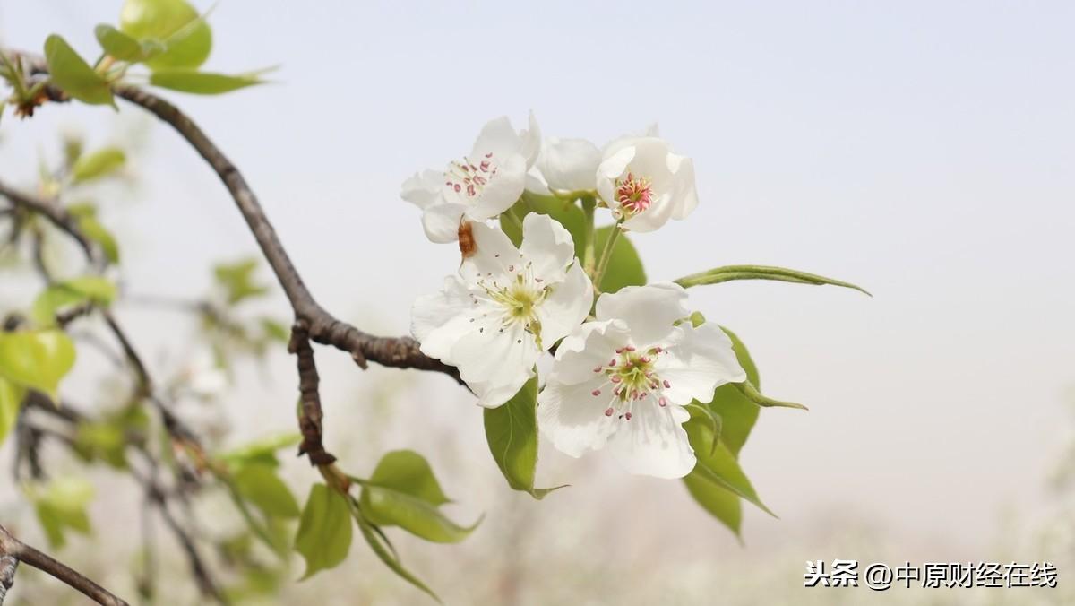 热点股票肯定是大家想关注的，如何筛选呢?只需四步就可轻松做到(股票筛选)  第4张