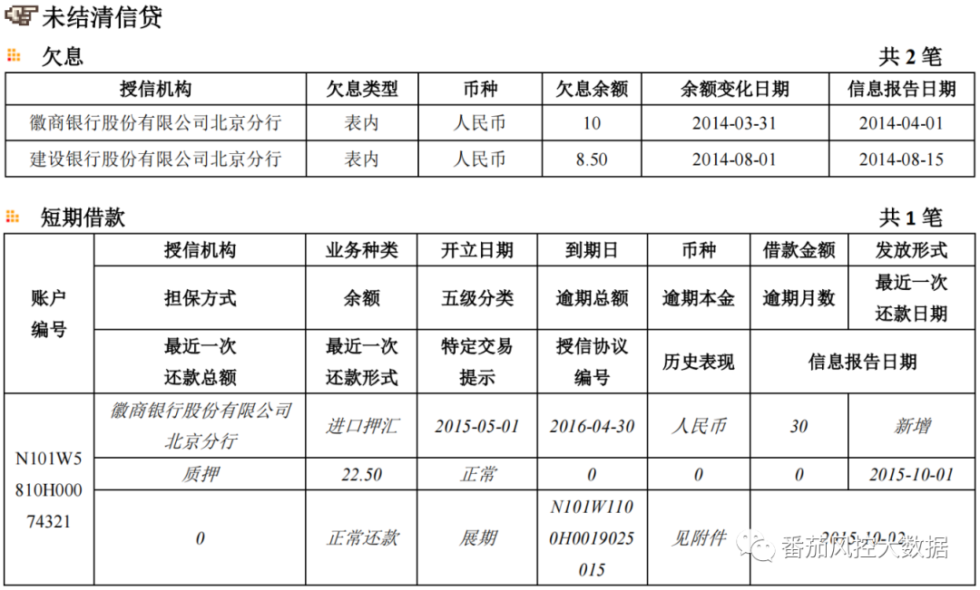(征信报告)企业人行征信报告的全面梳理与数据介绍 第13张 (征信报告)企业人行征信报告的全面梳理与数据介绍 第13张