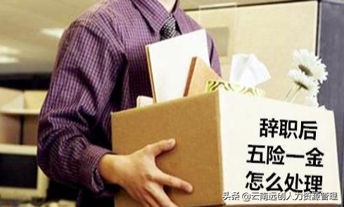 (辞职后怎么自己交社保)社保对我们很重要,但是你知道辞职后社保自己怎么交吗? 第1张 (辞职后怎么自己交社保)社保对我们很重要,但是你知道辞职后社保自己怎么交吗? 第1张