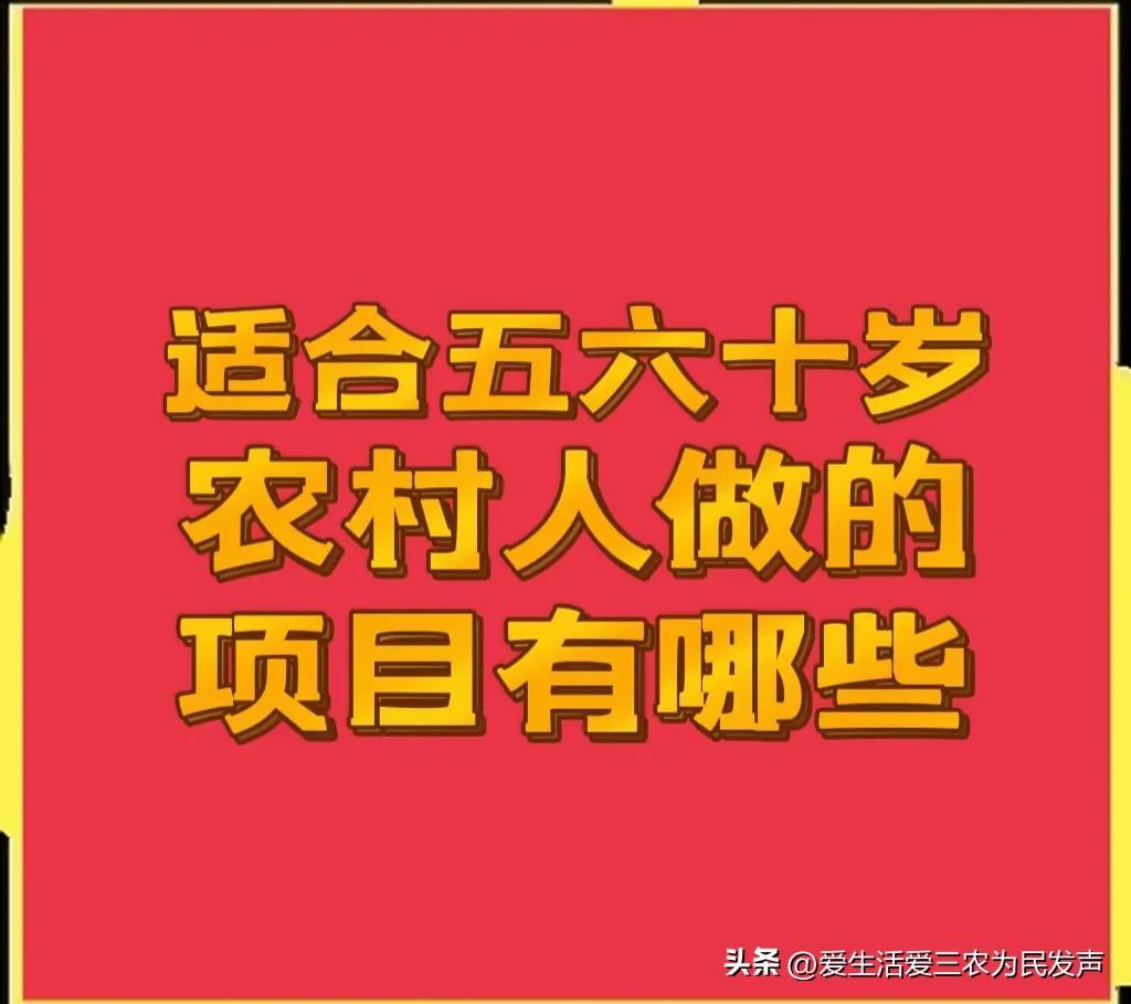 (五十岁创业适合做什么)五六十岁的农村人做什么项目比较好?哪些项目能月入过万元?  第1张