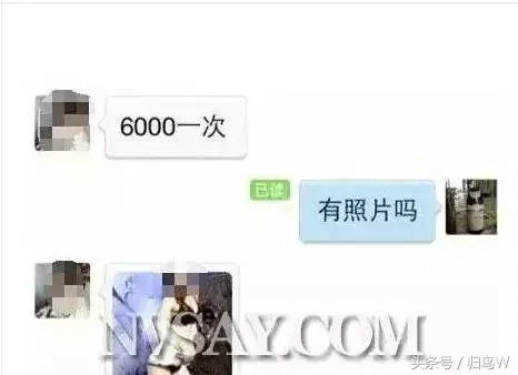 (外围是什么意思)什么是外围女?  第13张