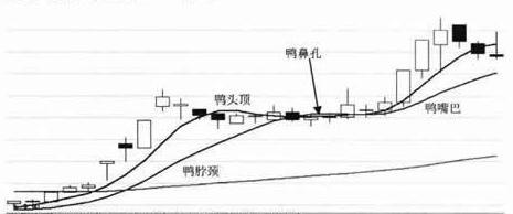 (老鸭头形态图解)经典K线形态:“老鸭头”形态详解  第1张