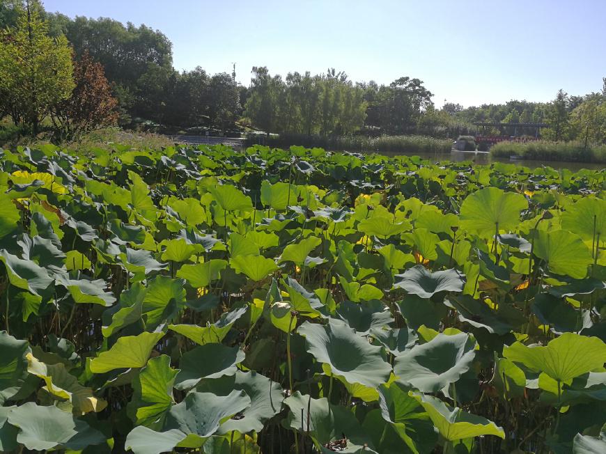 「信用卡欠了2万多逾期快1年了」信用卡欠款12000,已经逾期一年没还了!怎么办?  第1张 「信用卡欠了2万多逾期快1年了」信用卡欠款12000,已经逾期一年没还了!怎么办?  第1张