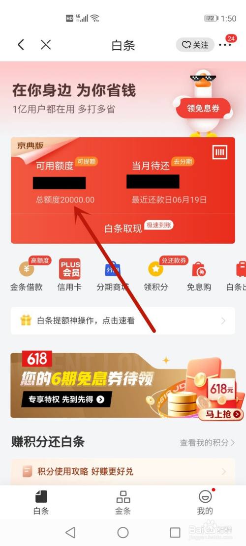 怎么提高白条额度(怎么快速提高京东白条额度)  第1张