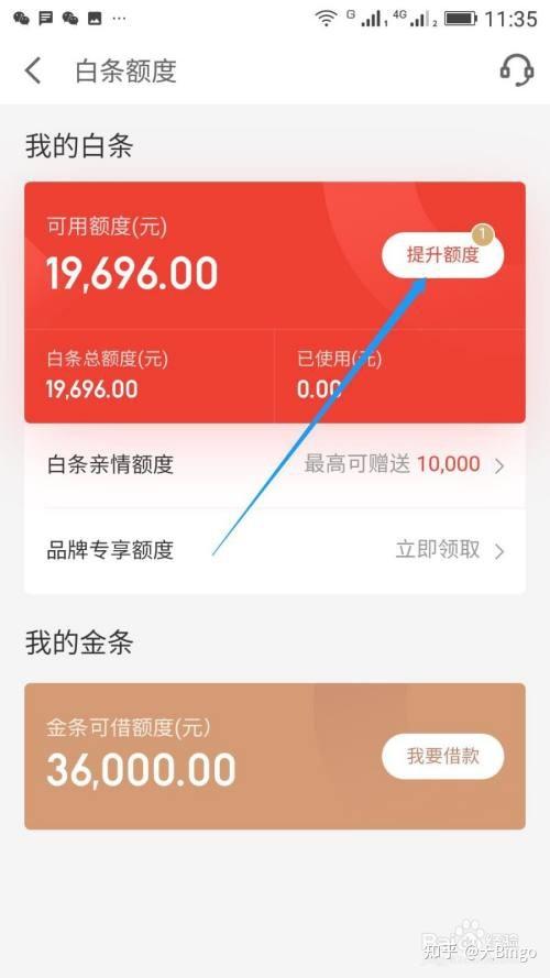 京东怎么提额度(京东白条额度能提现吗) 第1张 京东怎么提额度(京东白条额度能提现吗) 第1张