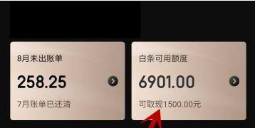 怎样提升白条可用额度(京东白条可用额度是什么意思)  第1张