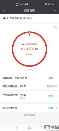 信用卡30万额度什么水平(信用卡额度100万什么水平)  第1张