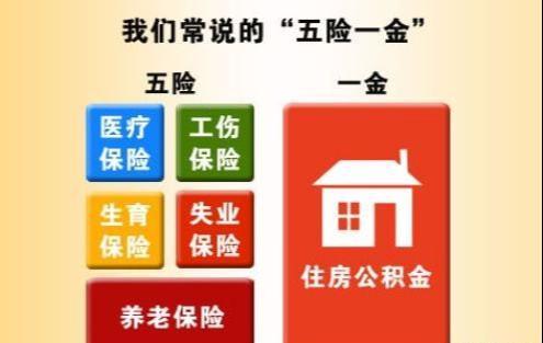 五险是哪五种保险(五险是哪五种保险一金是什么意思)  第1张