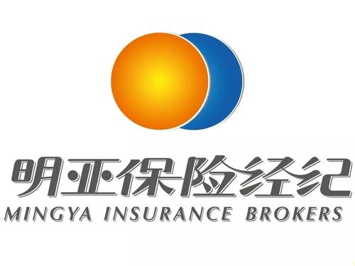 中国人寿保险查询保单(中国人民保险官网保单查询)  第1张
