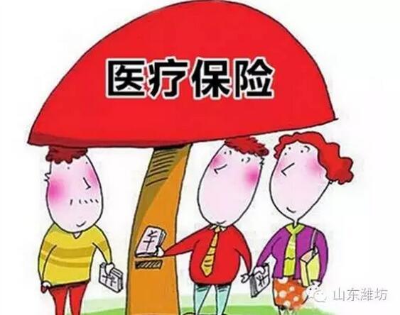 基本医疗保险包括什么(一年一买的医疗保险)  第1张