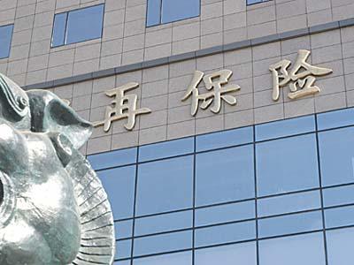 再保险(再保险是哪个在)  第1张