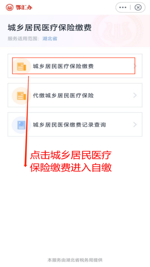 医疗保险在哪里交(医疗保险在哪里交都行吗)  第1张