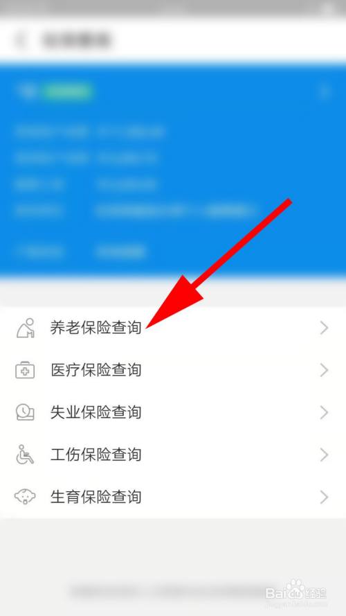 养老保险怎么查询(养老保险怎么查询交了多少年了)  第1张