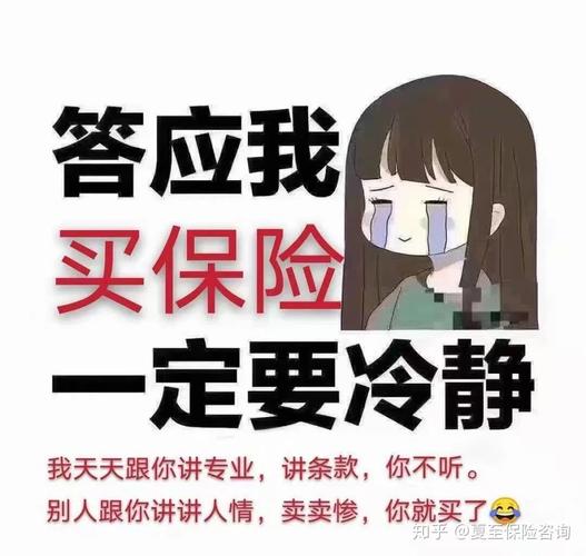 买保险咨询(买保险在线咨询) 第1张 买保险咨询(买保险在线咨询) 第1张