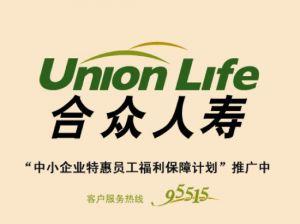 人寿保险官网(弘康人寿保险公司官网)  第1张