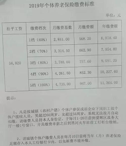 中国人寿养老保险价格表(中国人寿养老保险一年价格表)  第1张