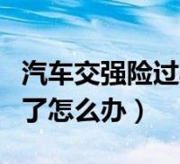 保险过期没买怎么处理(保险到期怎么续保)  第1张