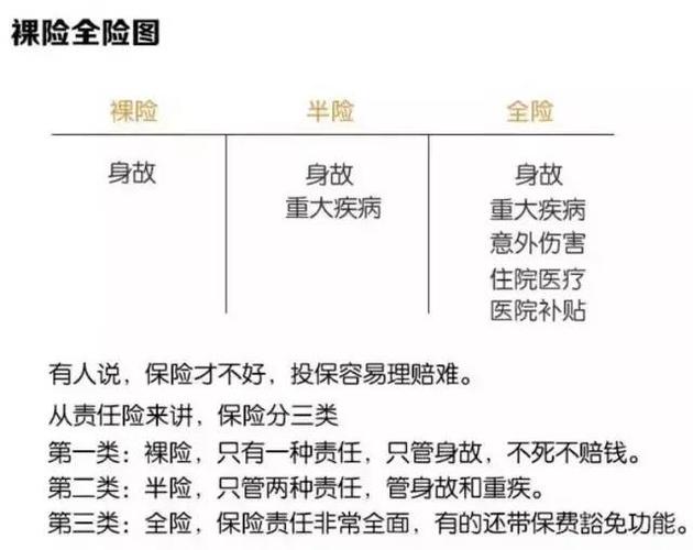 保险分哪几种类型(商业保险分哪几种类型)  第1张