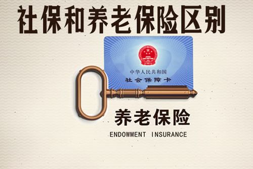 社保是不是养老保险(社保是不是养老保险)  第1张