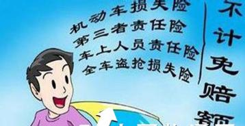 机动车车上人员责任保险(机动车车上人员责任保险(司机)1万)  第1张