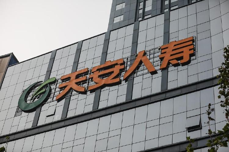 天安人寿保险公司怎么样(长城人寿保险公司是正规公司吗)  第1张