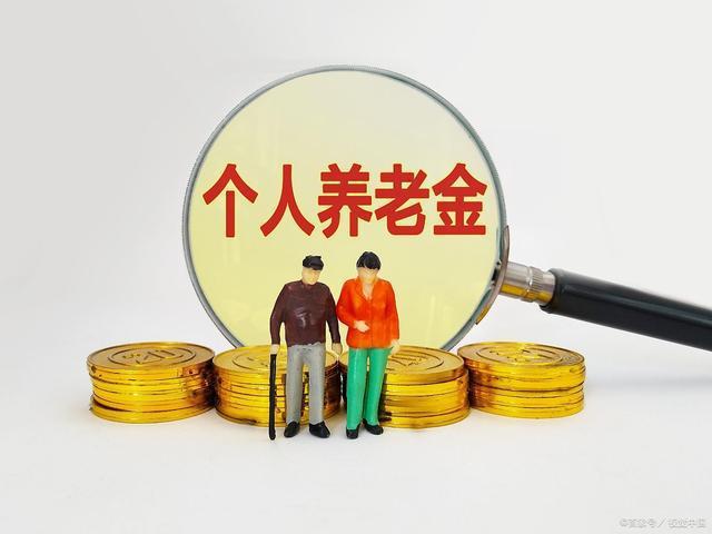 个人养老保险金(个人养老缴费查询) 第1张 个人养老保险金(个人养老缴费查询) 第1张