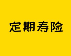 保险期间什么意思(保险期间写终身什么意思)  第1张