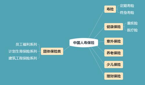 人寿保险有哪些险种(泰康人寿保险有哪些险种)  第1张