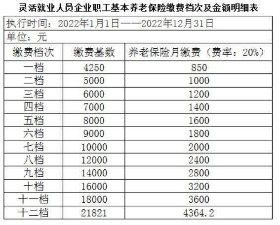 保险基数(保险基数是什么意思)  第1张