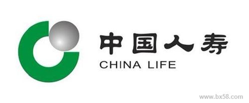 中国人寿养老保险(中国人寿养老保险企业年金查询) 第1张 中国人寿养老保险(中国人寿养老保险企业年金查询) 第1张