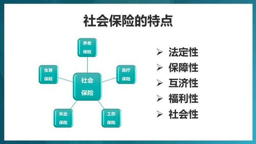什么是社会保险(什么是社会保险基金) 第1张 什么是社会保险(什么是社会保险基金) 第1张
