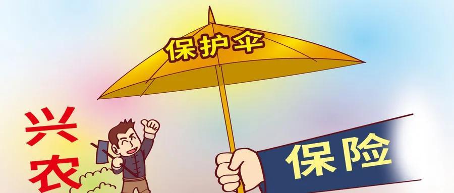 保证保险(保证保险履约的前提是) 第1张 保证保险(保证保险履约的前提是) 第1张