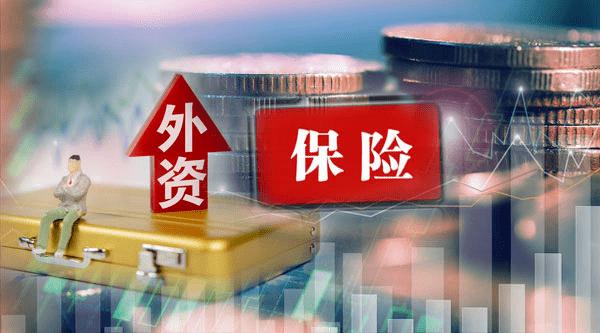 外资保险公司(外资保险公司排名前十名) 第1张 外资保险公司(外资保险公司排名前十名) 第1张