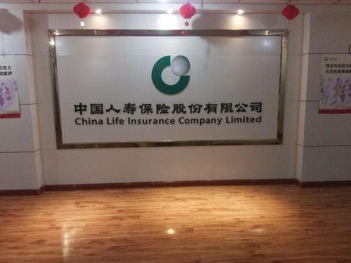 中国人寿保险股份有限公司官网(人保保险官方网站)  第1张
