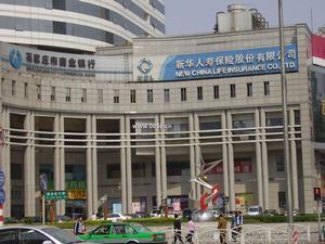 新华人寿保险公司(新华人寿保险公司官网) 第1张 新华人寿保险公司(新华人寿保险公司官网) 第1张