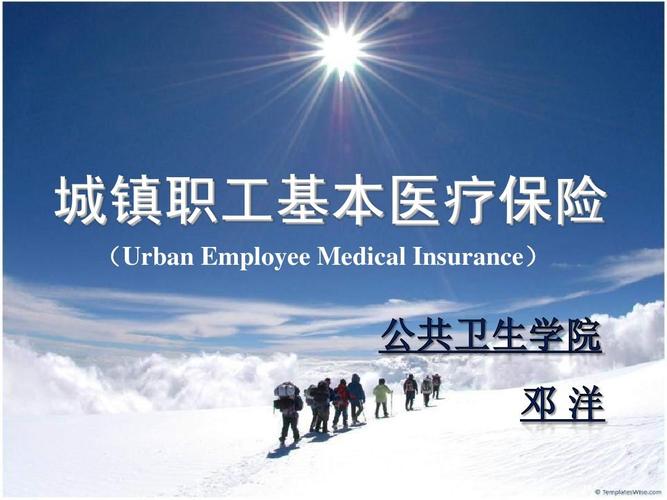 城镇职工基本医疗保险(城镇职工基本医疗保险)  第1张