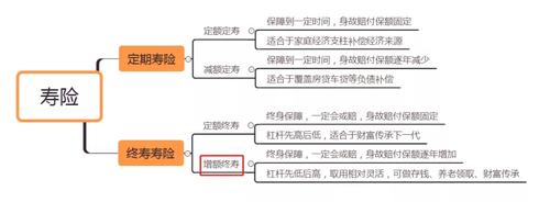两全保险与终身寿险的区别(定期寿险 终身寿险 两全保险) 第1张 两全保险与终身寿险的区别(定期寿险 终身寿险 两全保险) 第1张