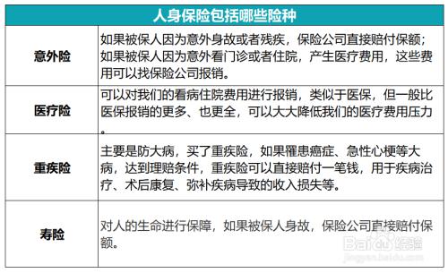 保险类型有哪些(保险商业险包括哪些)  第1张