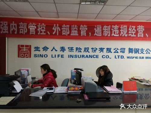 生命人寿保险公司(生命人寿保险公司官方网站)  第1张